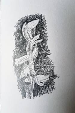 20170818_154035_original