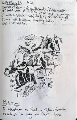 image_original