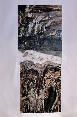 IMG_0387_original