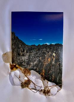 IMG_0388_original